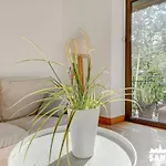 Kortazar By Sanse Holidays * Saint-Sébastien